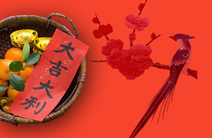 择日案例