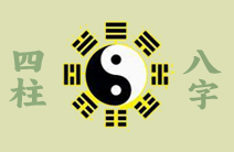 人生策划案例